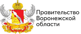 Правительство воронежской области